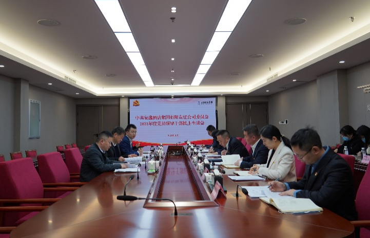 40001百老汇集团党委书记、董事长任丁出席安逸酒店集团2022年度党员领导干部民主生活会